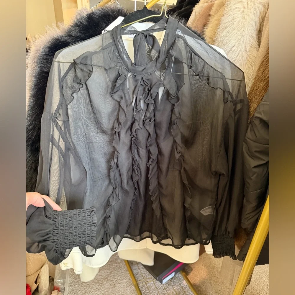 Zara NWT black ruffle long sleeve sheer mesh blouse - Picture 3 of 10